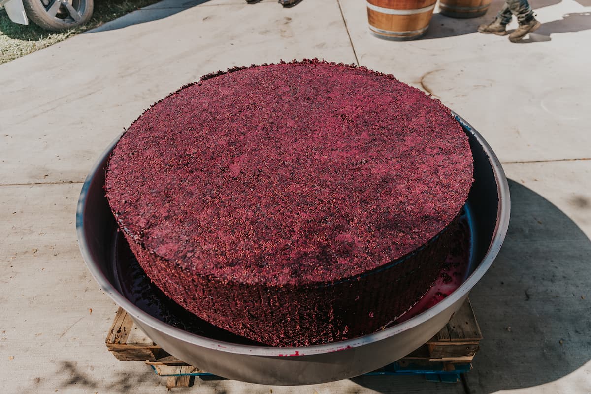 Press cake after basket pressing — Tranquility Farm & Winery