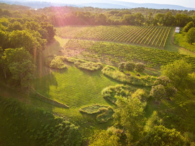 Hilltop ceremony setting