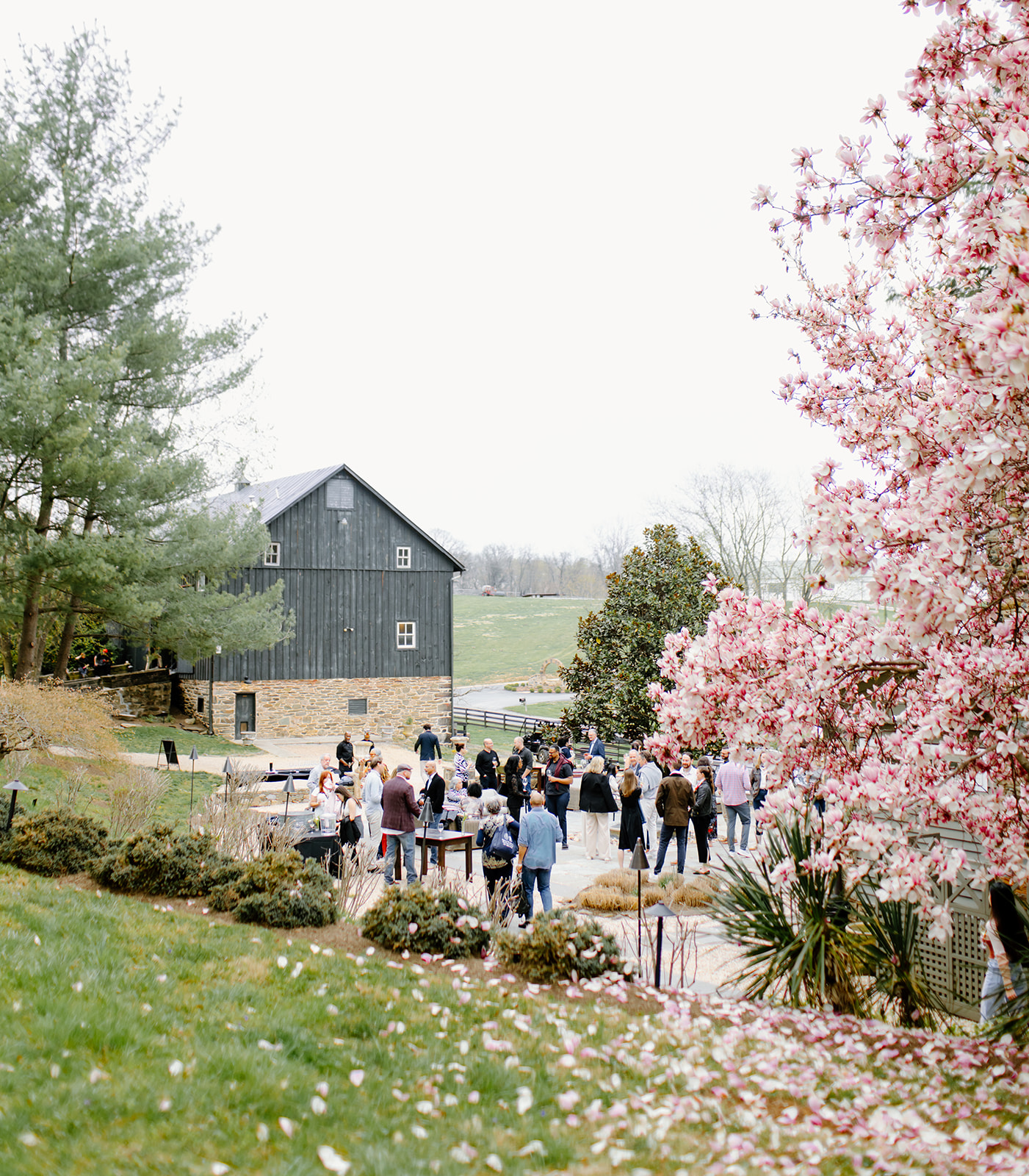 Friday evening at the Belvedere — Tranquility Farm