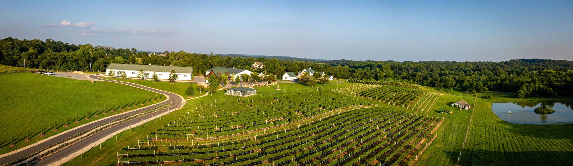 Otium vineyard Loudoun County